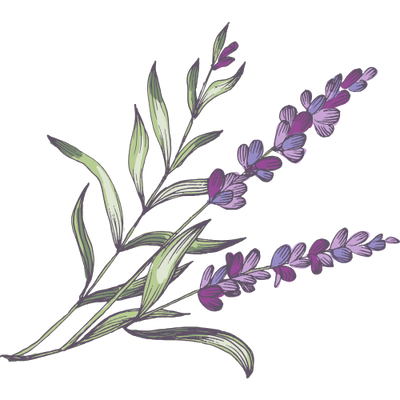 Lavender