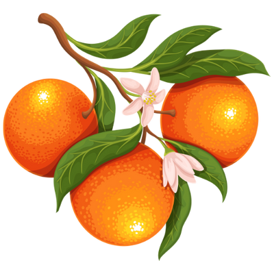Orange Blossom