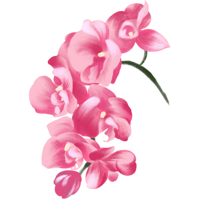 Orchid