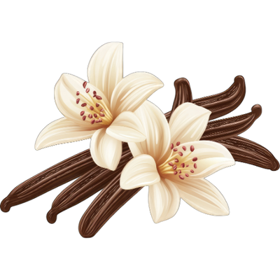 Vanilla